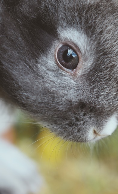 서유럽 여행 가기 좋은 나라 5곳과 이유