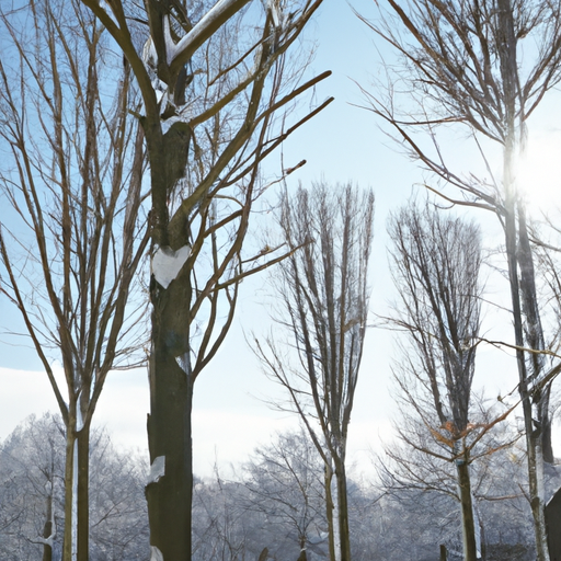 부룬디 여행 필수정보 비자 문화 숙소 미리 알아보기