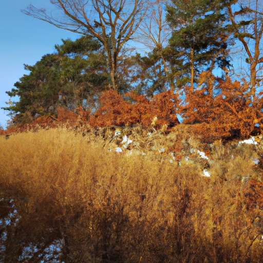 타우에른스파 여행 전 알아두어야 할 내용 모음