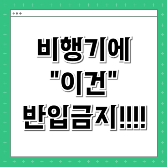 비행기 반입금지 물품