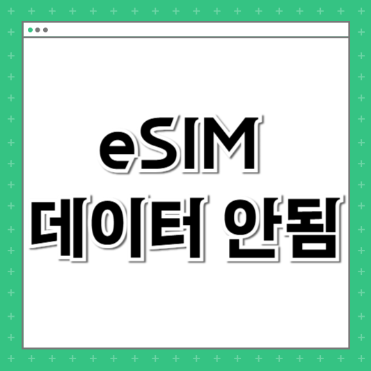 eSIM 데이터 안됨
