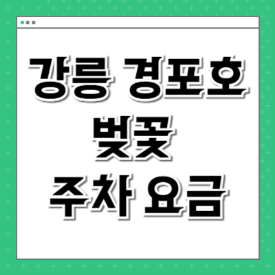 강릉 경포호 벚꽃 주차 요금