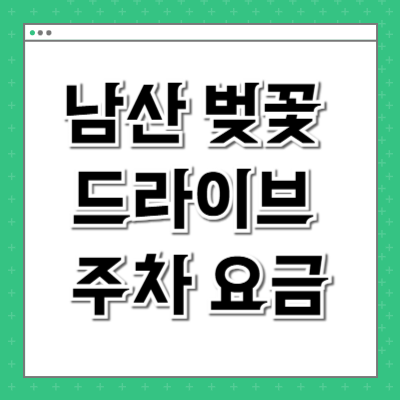 남산 벚꽃 드라이브 주차 요금