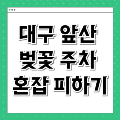 대구 앞산 벚꽃 주차 혼잡 피하기