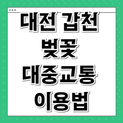 대전 갑천 벚꽃 대중교통 이용법