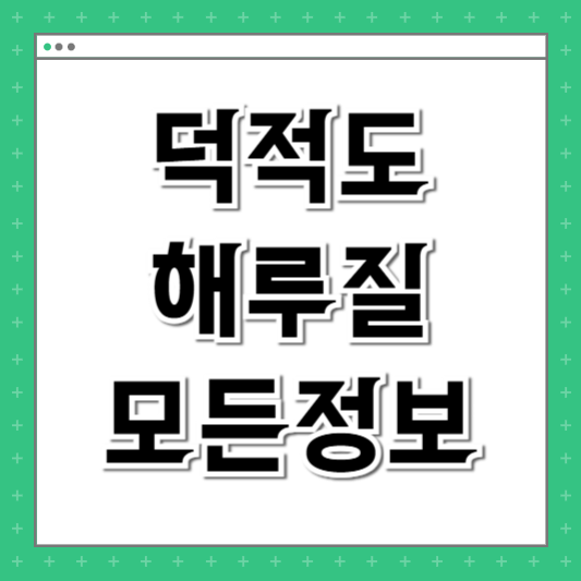 덕적도 해루질 배편 인천 대부도 출발 차이