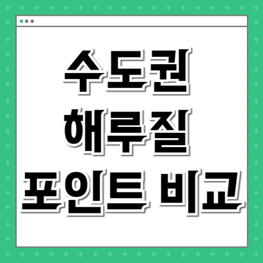 수도권 해루질 포인트 비교