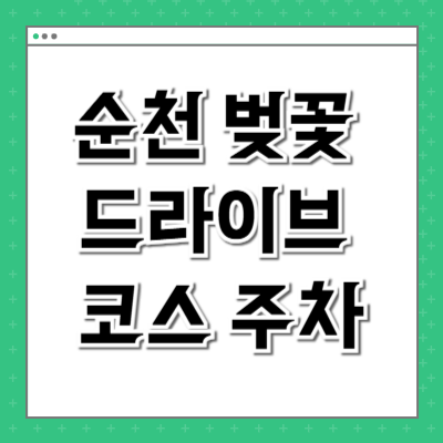 순천 벚꽃 드라이브 코스 주차