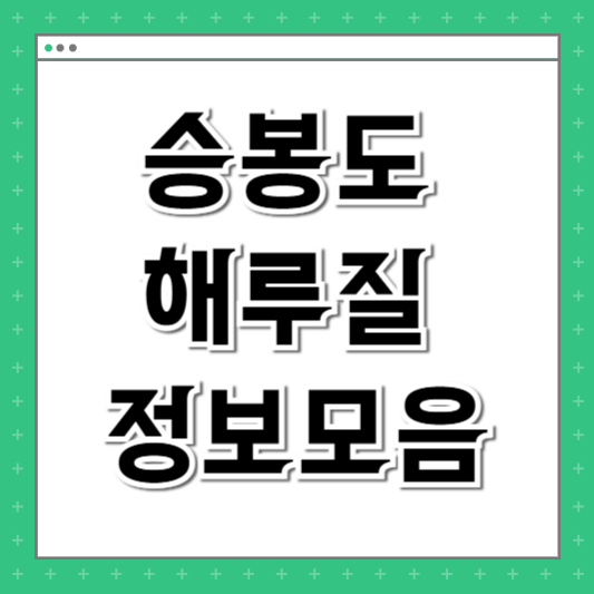 승봉도 해루질 이일레 갯바위 사승봉도 차이