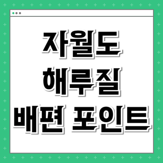 자월도 해루질 배편 포인트 이작도 차이