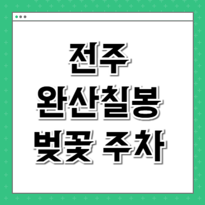 전주 완산칠봉 벚꽃 주차 야경