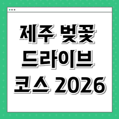 제주 벚꽃 드라이브 코스 2026