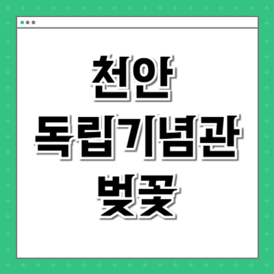 천안 독립기념관 벚꽃