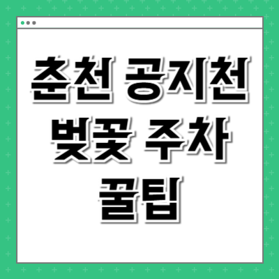 춘천 공지천 벚꽃 주차 꿀팁